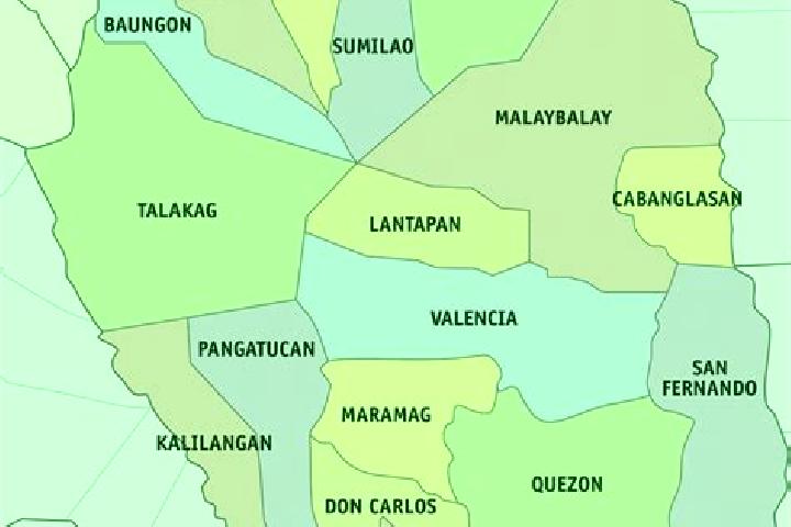 Luna, 20 — Escort in Damilag, Philippines