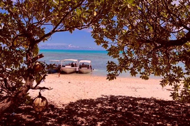 Luna, 20 — Escort in Kayangel, Palau