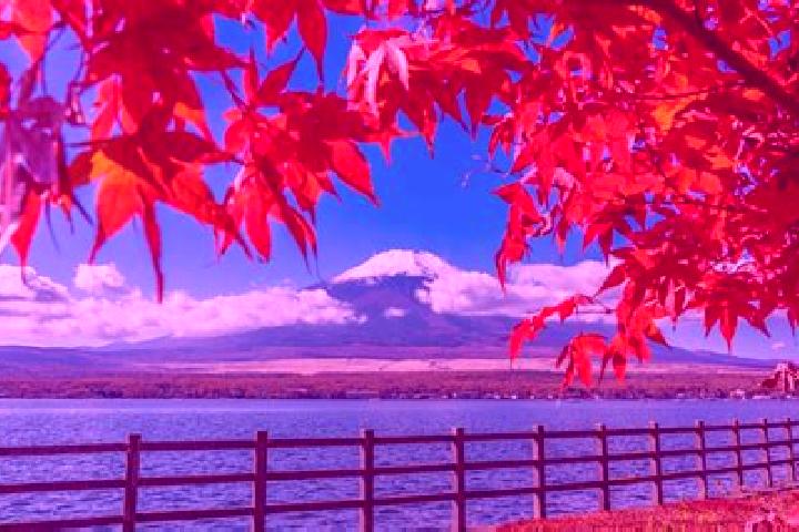 Luna, 20 — Escort in Tagami, Japan