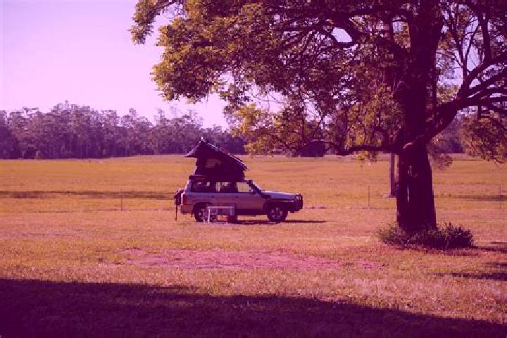Luna, 20 — Escort in Urunga, Australia