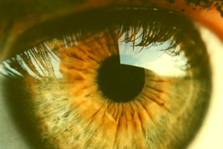 Luna, 21, a dark blonde hazel-eyed ebony companion based in Ore. Offering Couples, Fetish, OWO. Available for incall and outcall, day and evening dates.
