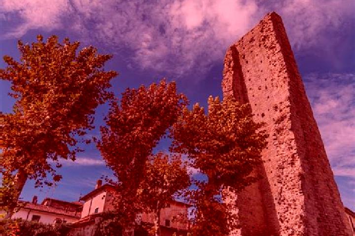 Luna, 21 — Escort in Castel di Casio, Italy