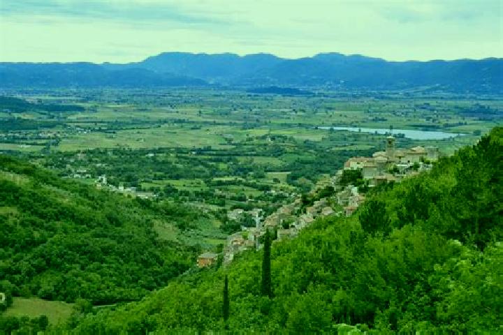 Luna, 21 — Escort in Poggio Bustone, Italy