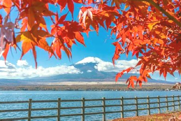 Luna, 21 — Escort in Tachiarai, Japan
