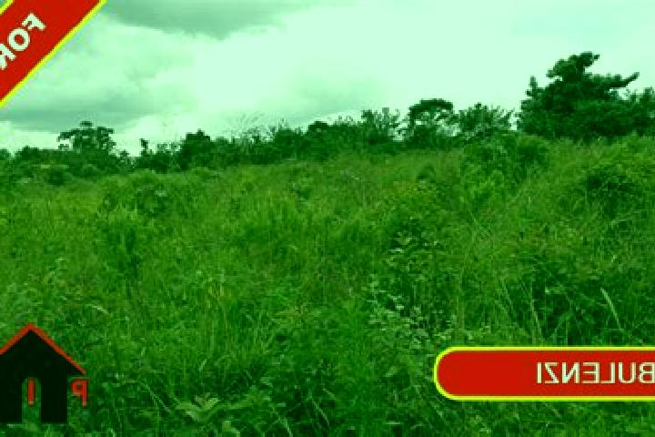 Luna, 21 — Escort in Wobulenzi, Uganda