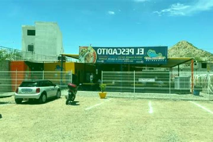 Luna, 22 — Escort in Agua de Pescadito, Mexico