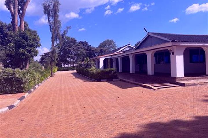 Luna, 22 — Escort in Busia, Kenya