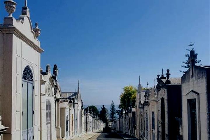 Luna, 22 — Escort in Parada de Gonta, Portugal