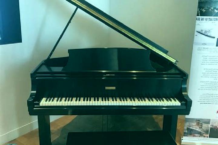 Luna, 22 — Escort in Steinway, United States