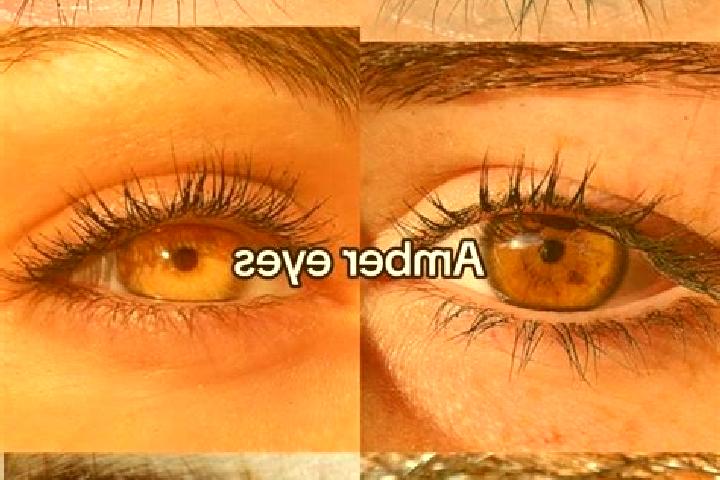 Luna, 23, a chestnut amber-eyed caucasian companion based in Grindeni. Offering Domination, Girlfriend Experience, Erotic Massage. Available for incall and o...