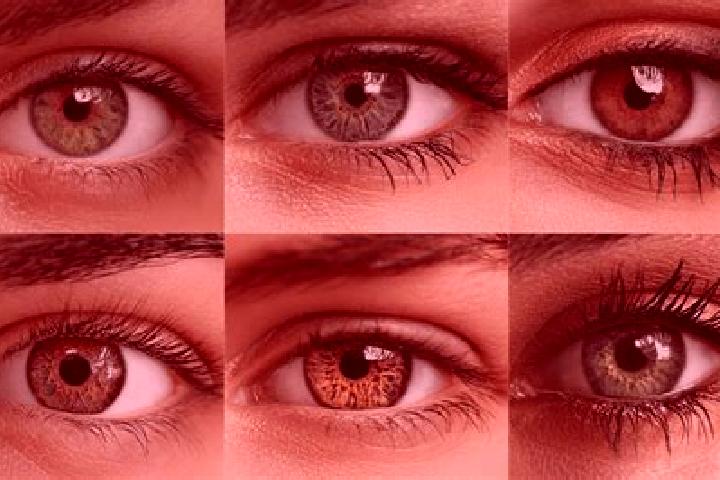 Luna, 23, a red hazel-eyed caribbean companion based in Ozerna. Offering CIM, Fetish, OWO, Roleplay. Available for incall and outcall, overnight bookings ava...