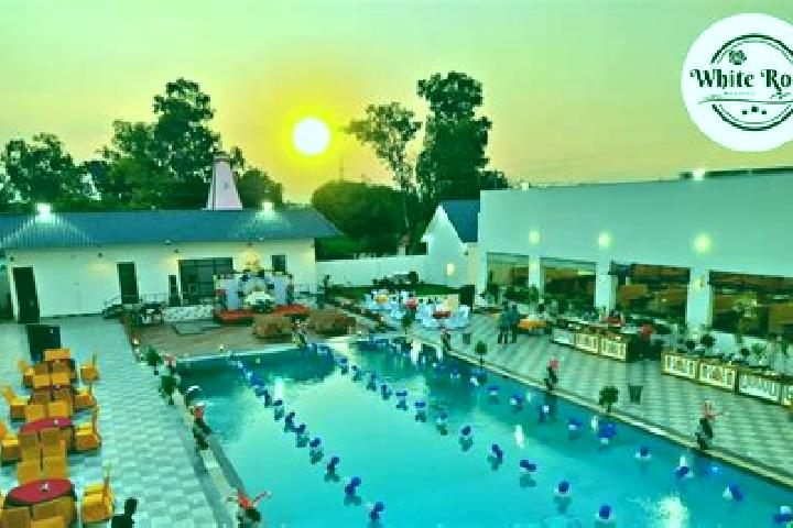 Luna, 23 — Escort in Kaithal, India