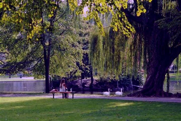 Luna, 23 — Escort in Virginia Park, Canada