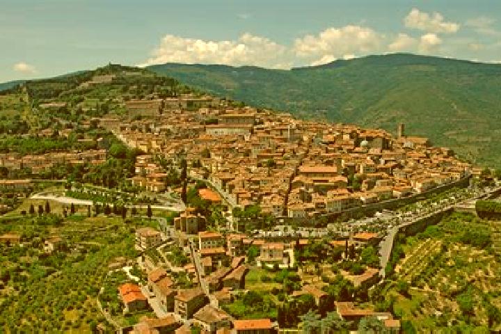 Luna, 24 — Escort in Cortona, Italy