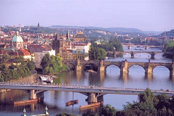 Luna, 24 — Escort in Svetice, Czech Republic