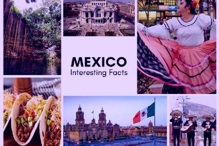Luna, 24 — Escort in Tamcuem, Mexico