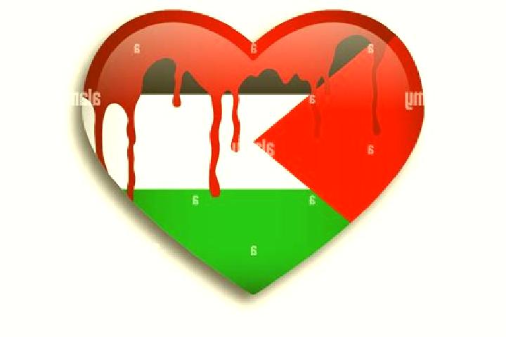 Luna, 25 — Escort in Abu Qashsh, Palestine