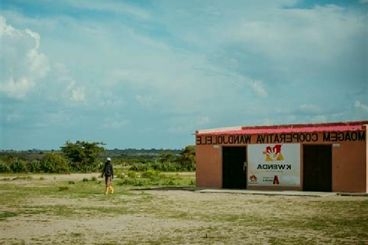 Luna, 25 — Escort in Capunda Cavilongo, Angola