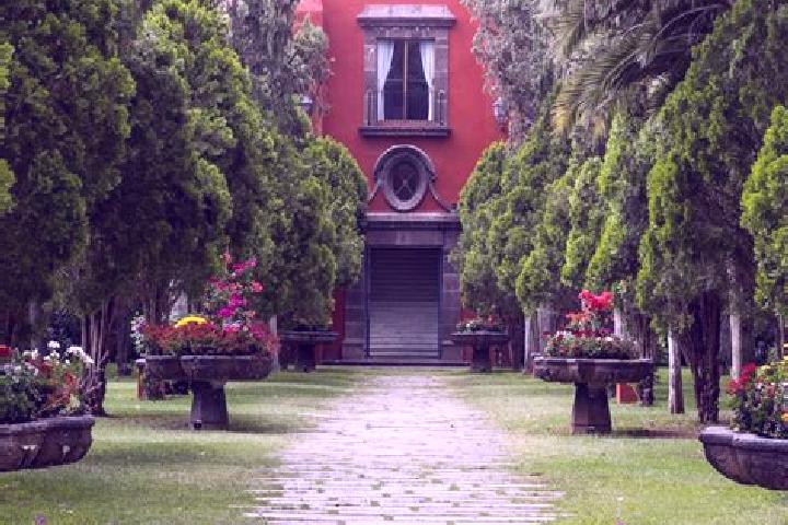 Luna, 25 — Escort in El Jardin, Mexico