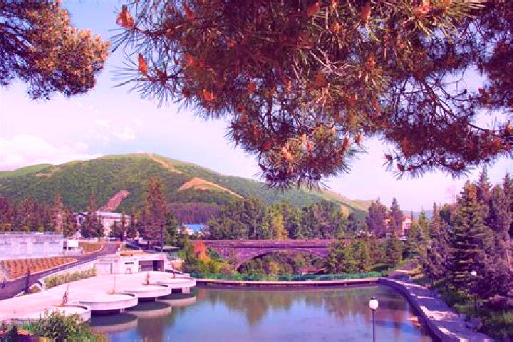 Luna, 25 — Escort in Khoronk, Armenia