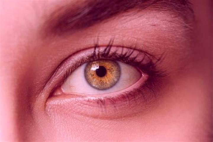 Luna, 26, a chestnut hazel-eyed mixed companion based in Empoli. Offering Erotic Massage, A-Level, Travel Companion. Available for incall and outcall, overni...
