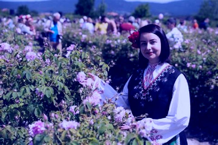 Luna, 26 — Escort in Kazanlak, Bulgaria