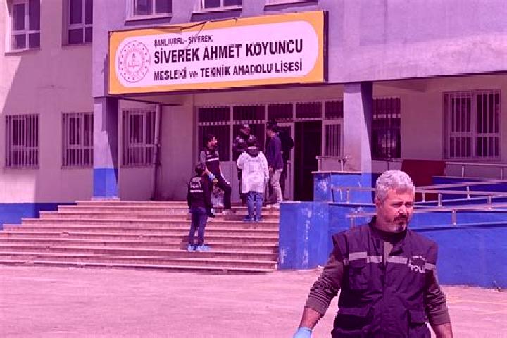 Luna, 26 — Escort in Siverek, Turkey