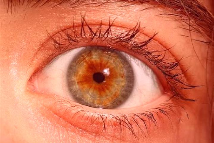 Luna, 27, a red hazel-eyed mediterranean companion based in Vani. Offering GFE, Deep French Kissing, Domination. Available for incall and outcall, overnight ...
