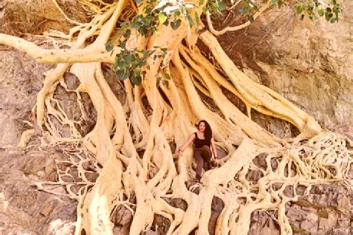 Luna, 27 — Escort in Amate Amarillo, Mexico