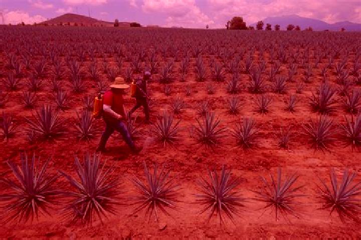 Luna, 27 — Escort in Ayapango, Mexico