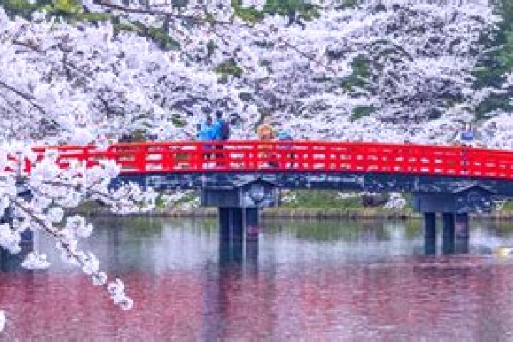 Luna, 27 — Escort in Hiranai, Japan