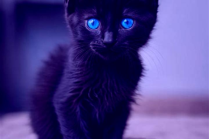 Luna, 28, a black blue-eyed caribbean companion based in Rakitnoye. Offering Girlfriend Experience, BDSM, GFE, Domination. Available for incall and outcall, ...