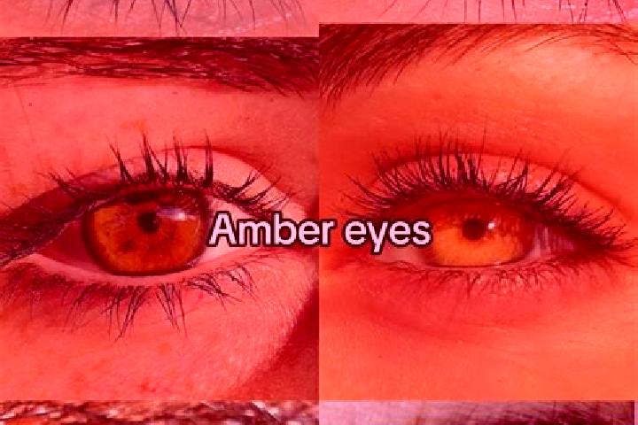 Luna, 28, a dark blonde amber-eyed ebony companion based in Hamlet. Offering OWO, Massage, Overnight. Available for incall and outcall, overnight bookings av...