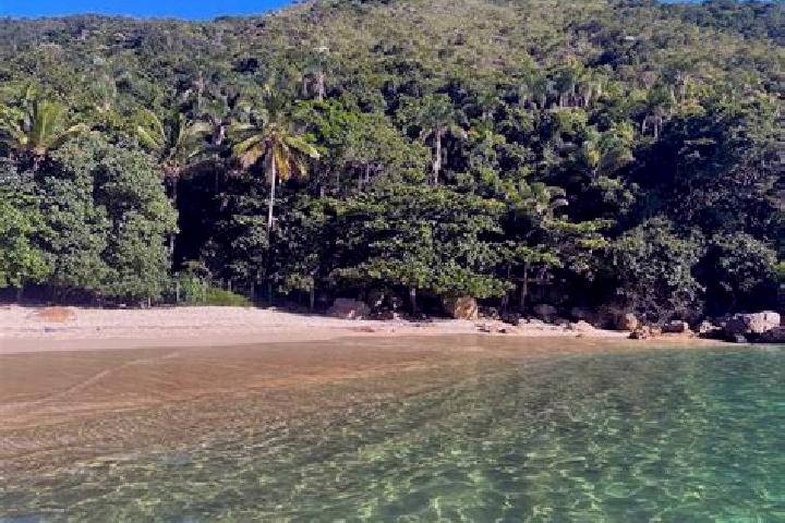 Luna, 28, a red dark-eyed european companion based in Ilha Grande. Offering Erotic Massage, BDSM, 69. Available for incall and outcall, overnight bookings av...