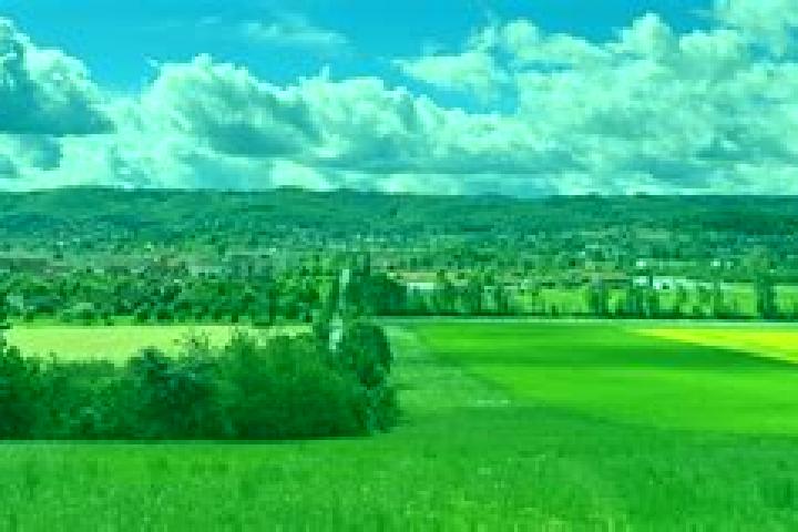 Luna, 28 — Escort in Drohndorf, Germany