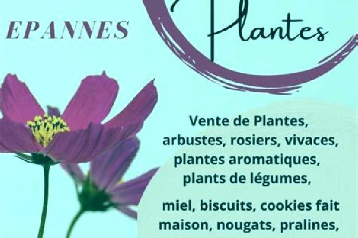 Luna, 28 — Escort in Epannes, France