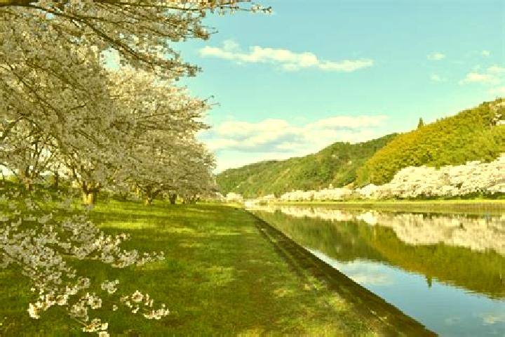 Luna, 28 — Escort in Unnan, Japan