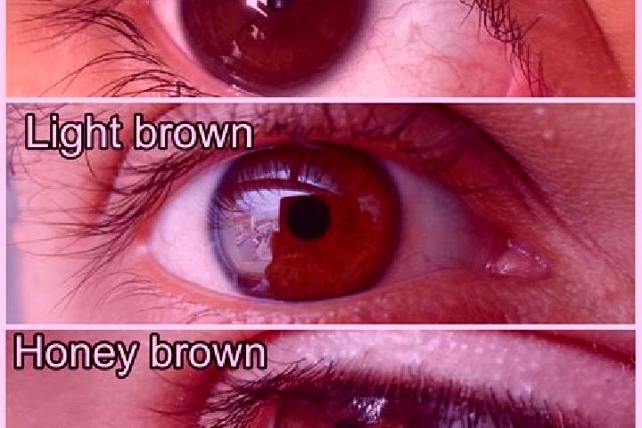 Luna, 29, a black hazel-eyed slavic companion based in La Brigue. Offering Deep French Kissing, OWO, Duos. Available for incall and outcall, day and evening ...