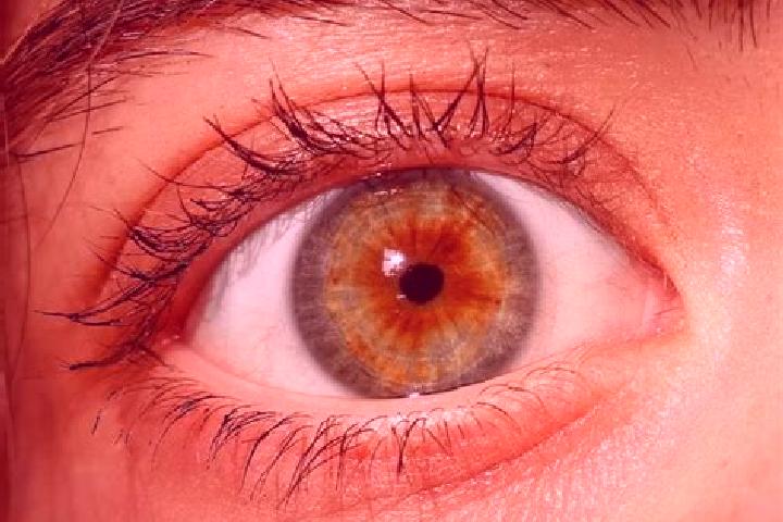 Luna, 29, a red hazel-eyed slavic companion based in Faridpur. Offering Couples, Domination, OWO, Prostate Massage. Available for incall and outcall, day and...