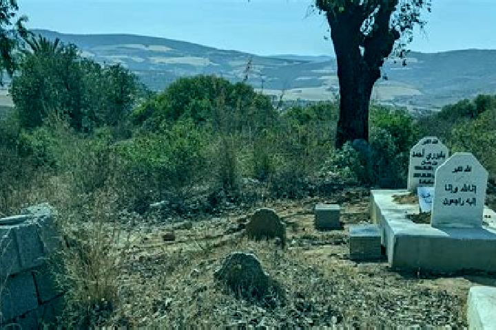 Luna, 29 — Escort in Bougara, Algeria