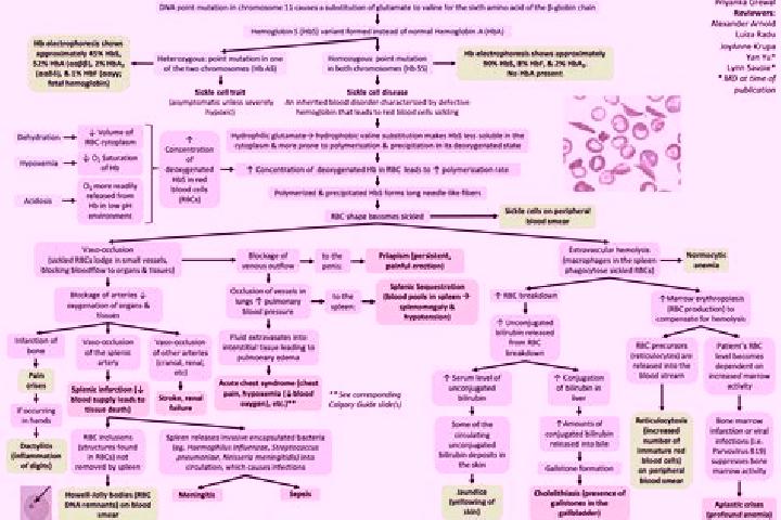Luna, 29 — Escort in Lewutung, Indonesia