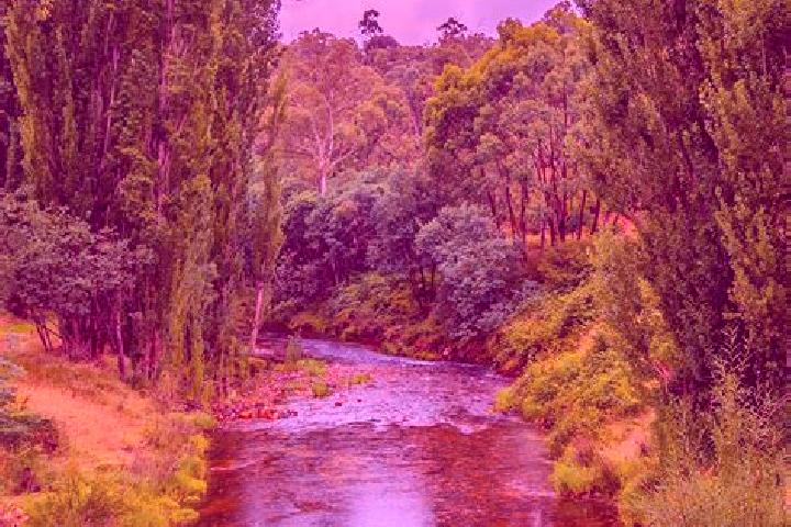 Luna, 29 — Escort in Mountain River, Australia