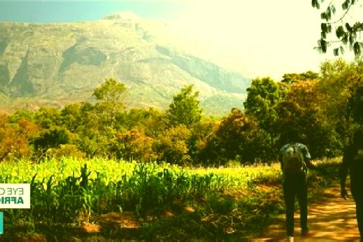 Luna, 29 — Escort in Mulanje, Malawi