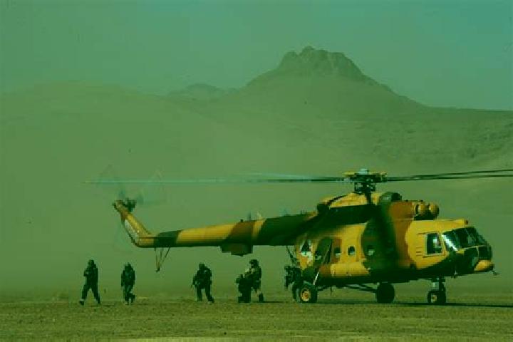 Luna, 29 — Escort in Shindand, Afghanistan