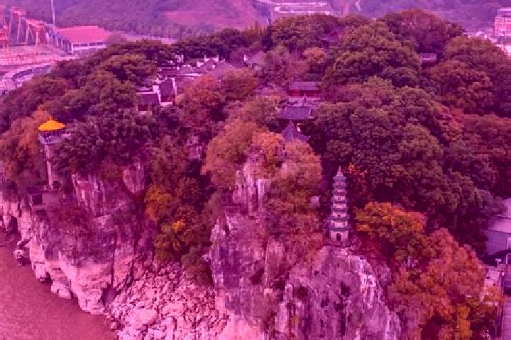 Luna, 29 — Escort in Shizhong, China