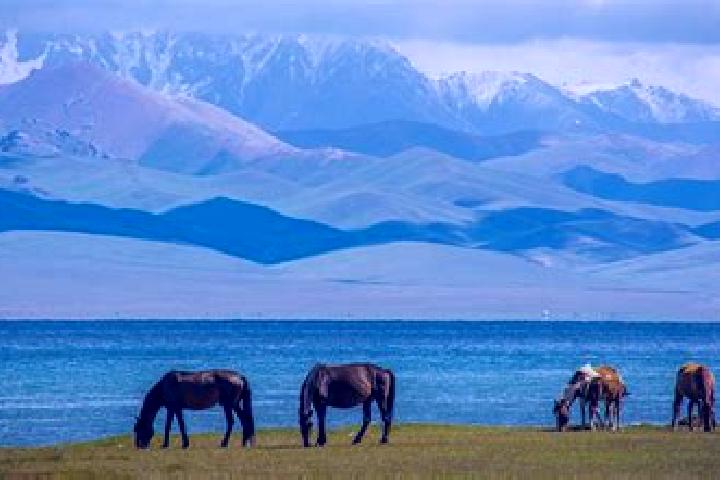 Luna, 29 — Escort in Sokuluk, Kyrgyzstan