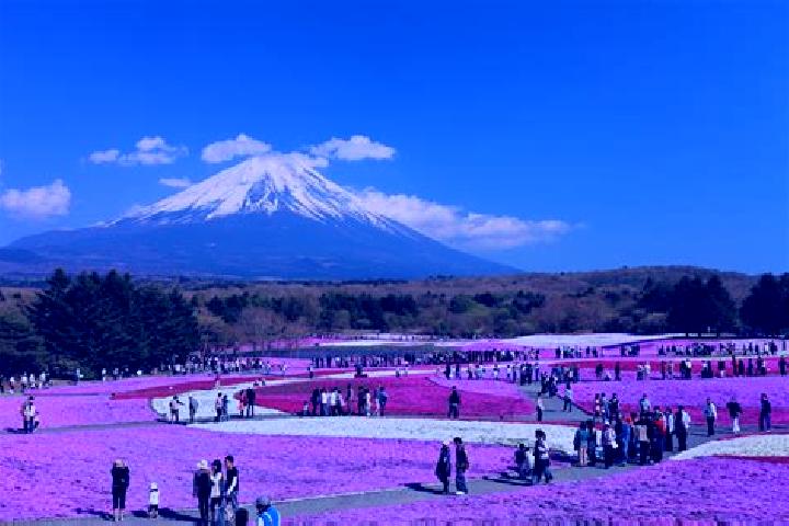 Luna, 29 — Escort in Takinoue, Japan
