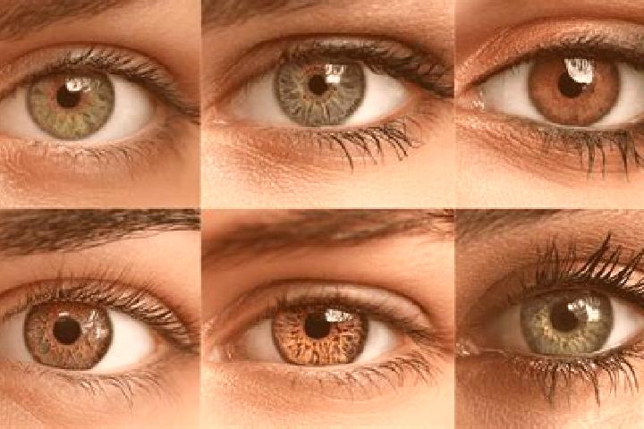Luna, 30, a black hazel-eyed mixed companion based in Alsoberecki. Offering Fetish, OWO, Girlfriend Experience, Prostate Massage, Massage. Available for inca...