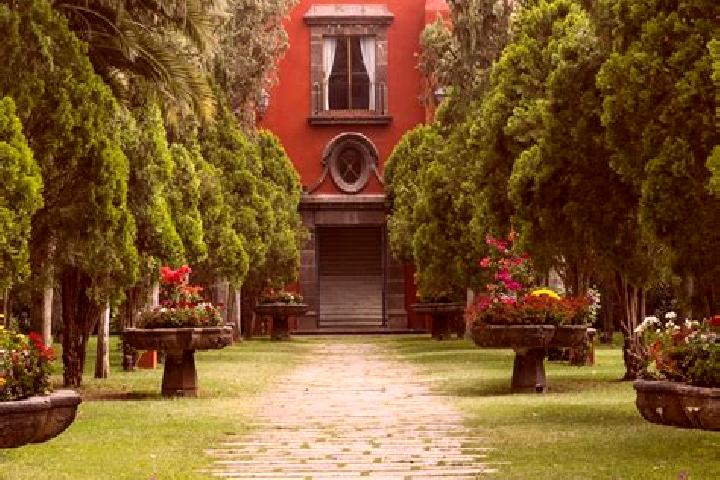 Luna, 30 — Escort in Buenavista (San Miguel), Mexico