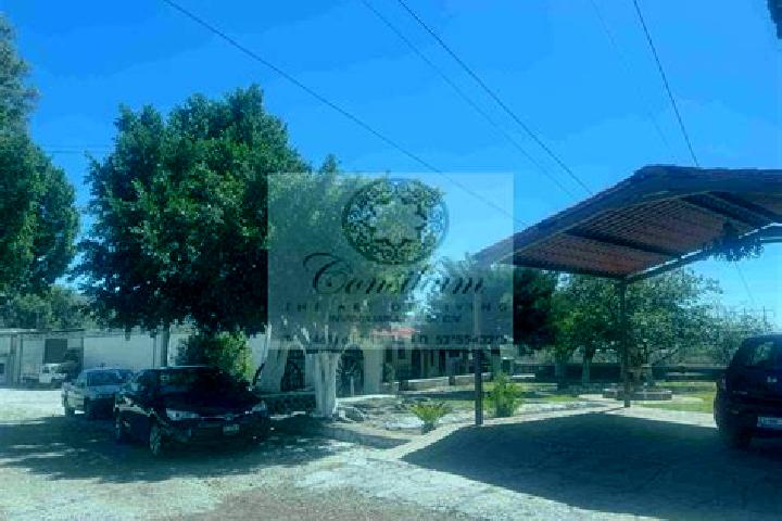Luna, 30 — Escort in Cueramaro, Mexico